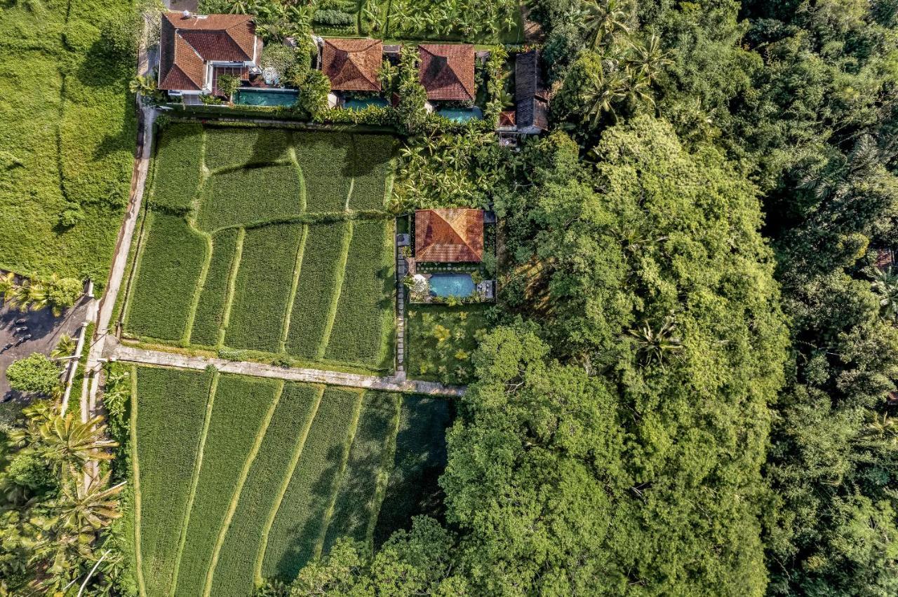 Ratni Ubud Villa Екстериор снимка